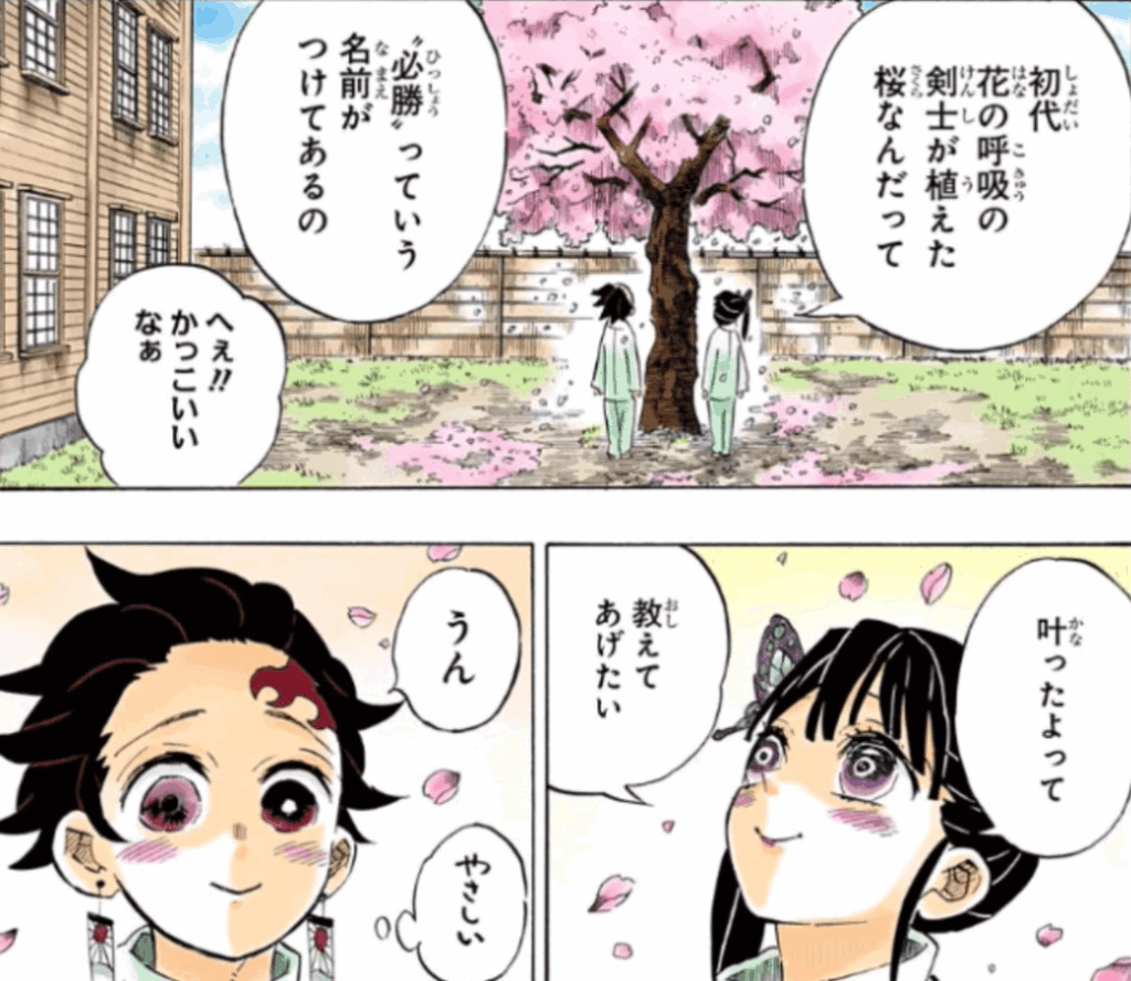 感動の再会と告白｜桜の木の下で交わされる想い